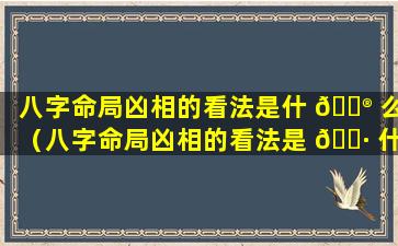 八字命局凶相的看法是什 💮 么（八字命局凶相的看法是 🕷 什么意思）